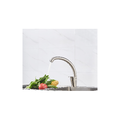 Mitigeur Evier NEWBURY Ref 3047404061739