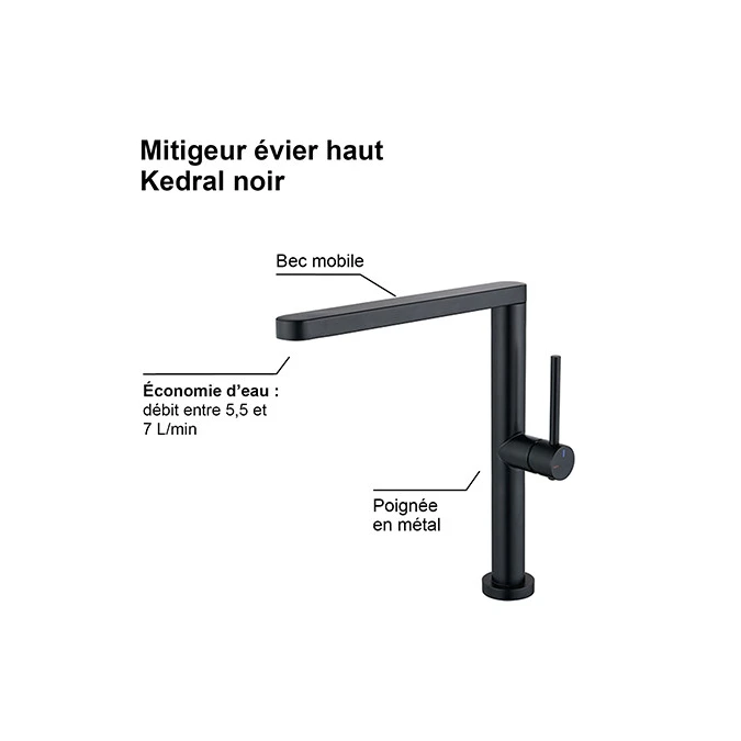 Mitigeur évier HAUT KEDRAL