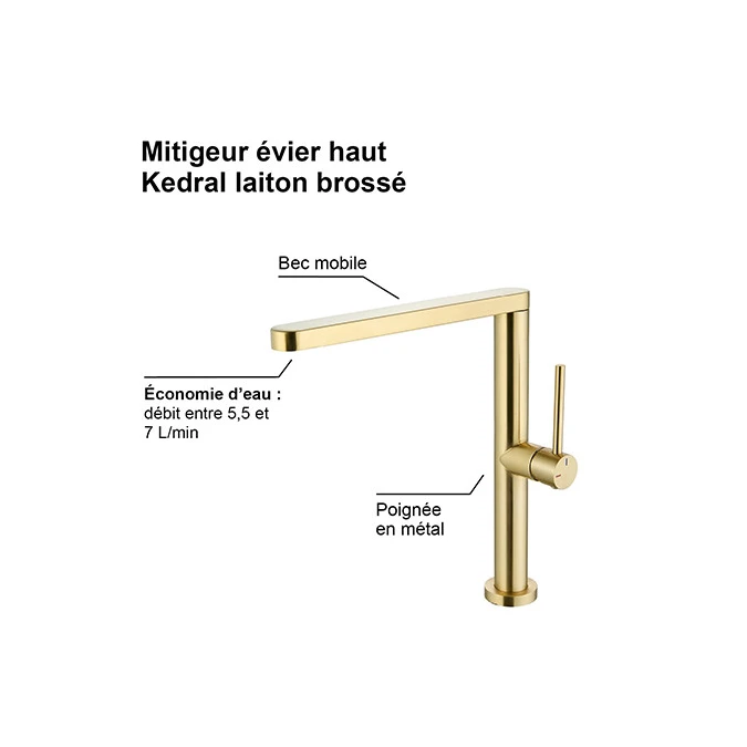 Mitigeur évier HAUT KEDRAL