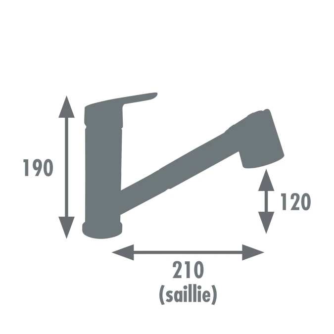 Mitigeur évier CACTUS