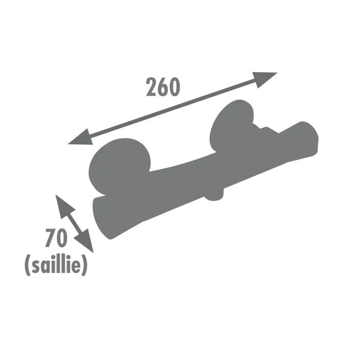 Thermostatique douche THERMOSUR 100