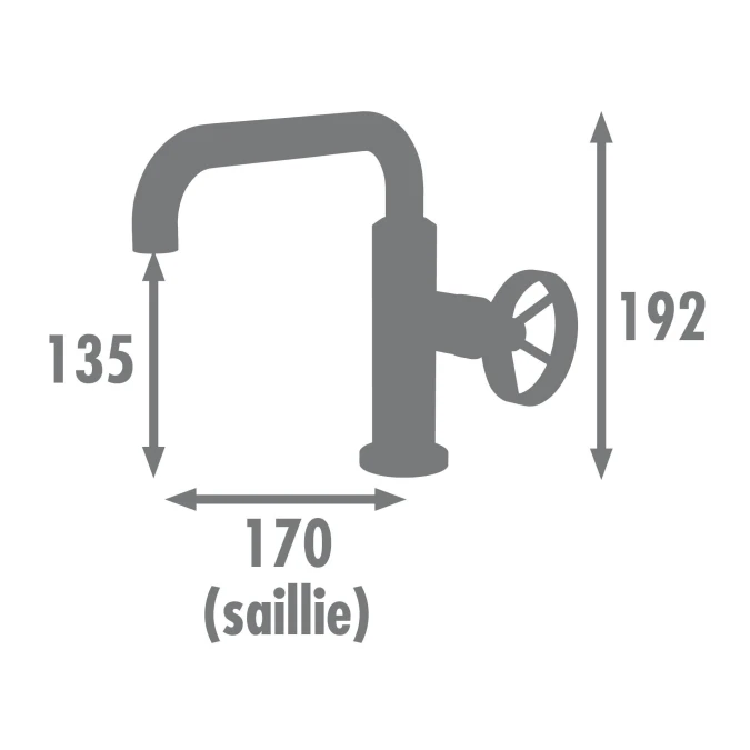 Seconde Chance - Mitigeur Lavabo INDUSTRIEL à bec mobile