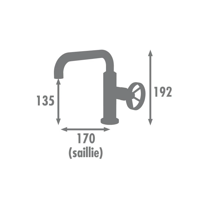 Seconde Chance - Mitigeur lavabo INDUSTRIEL à bec mobile