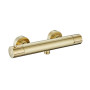 Thermostatique douche AKILA