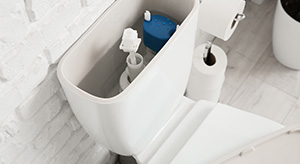 Mécanismes de chasse d'eau WC