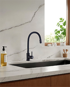 Mitigeur de cuisine mémoire de forme Edouard Rousseau 